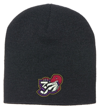 Picture of Adult Knit Beanie (Front and Back Logo)