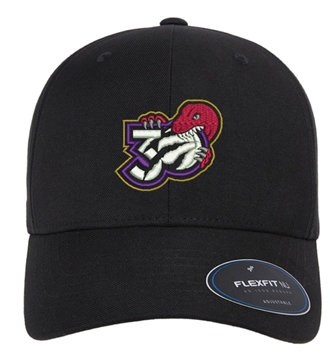 Picture of Raptors 30th Cap