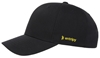Picture of Raptors 30th Cap