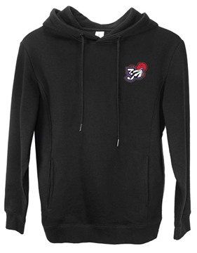 Picture of Raptors 30th Hooded Sweatshirt